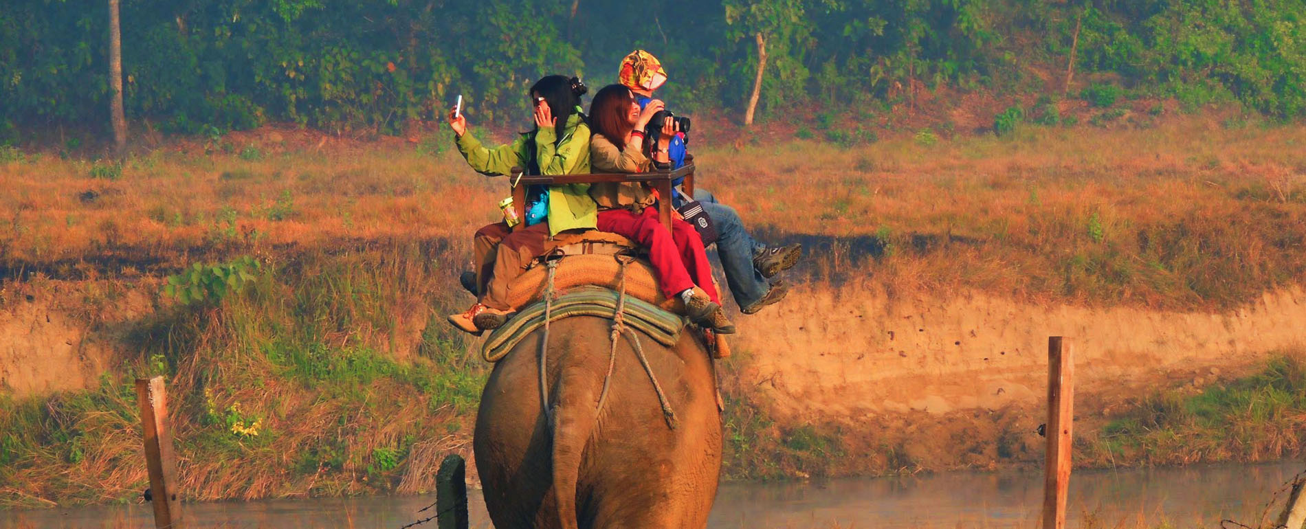 Jungle Safari, Chitwan